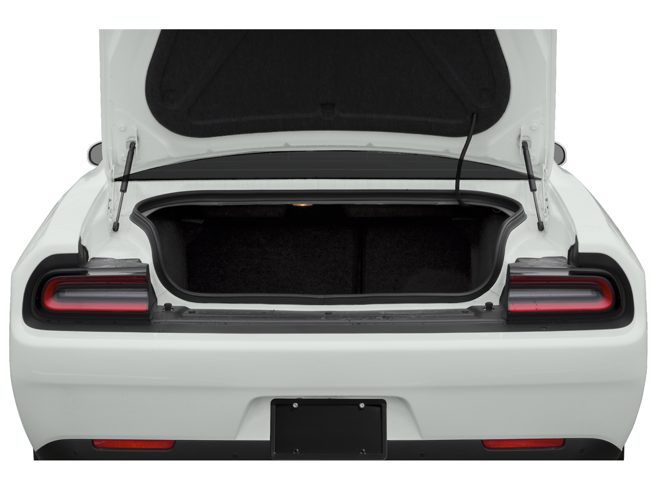 2019 Dodge Challenger R/T photo 3