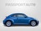 2019 Volkswagen Beetle 2.0T S