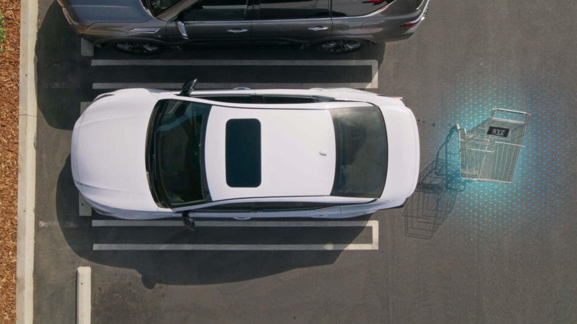 2026 Nissan Altima | Passport Nissan Alexandria in Alexandria, VA